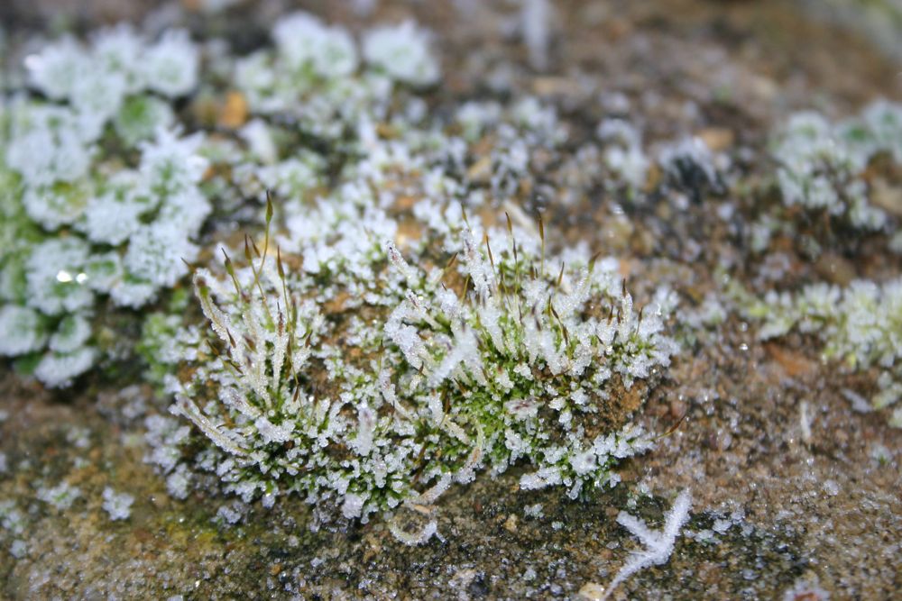 An image of When winter bites hard, Brooke Estate Management can help you keep your pathways and car parks clear so that business can continue. goes here.