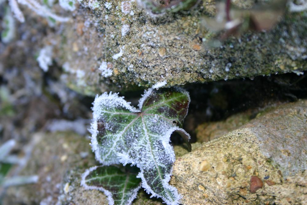 An image of When winter bites hard, Brooke Estate Management can help you keep your pathways and car parks clear so that business can continue. goes here.