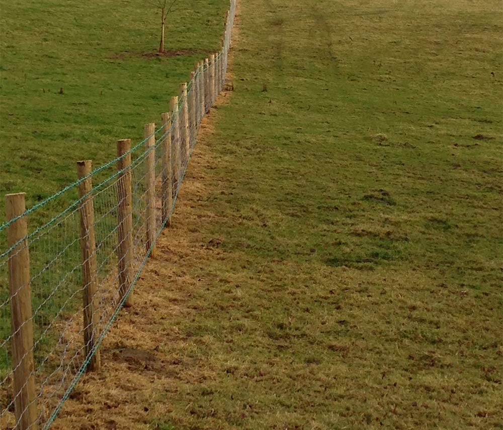 An image of Stock fencing on a Monmouthshire Farm goes here.